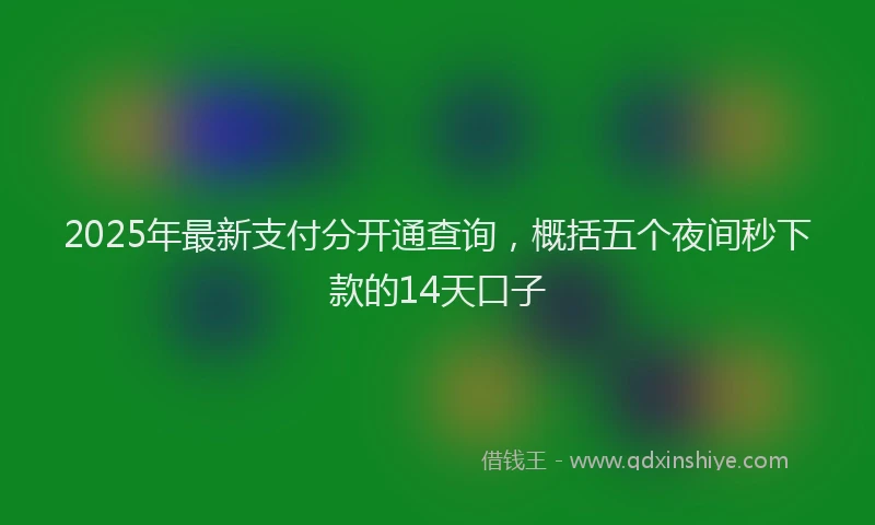 2025年最新支付分开通查询，概括五个夜间秒下款的14天口子