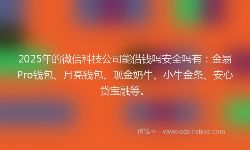 2025年的微信科技公司能借钱吗安全吗有：金易Pro钱包、月亮钱包、现金奶牛、小牛金条、安心贷宝融等。