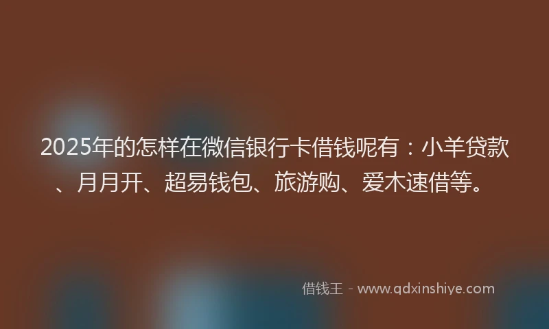 2025年的怎样在微信银行卡借钱呢有：小羊贷款、月月开、超易钱包、旅游购、爱木速借等。