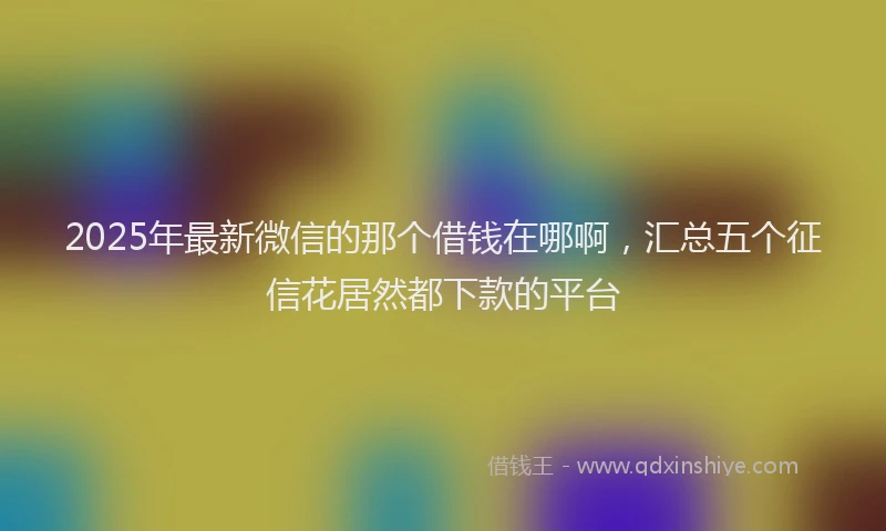 2025年最新微信的那个借钱在哪啊，汇总五个征信花居然都下款的平台