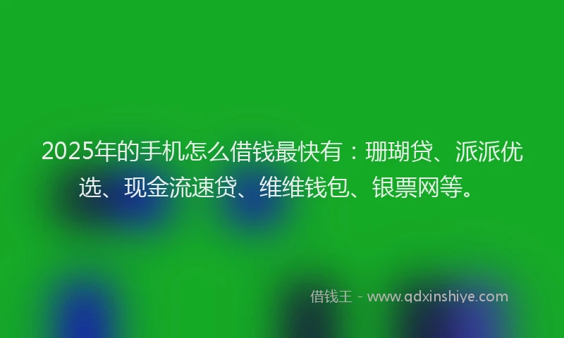 2025年的手机怎么借钱最快有：珊瑚贷、派派优选、现金流速贷、维维钱包、银票网等。