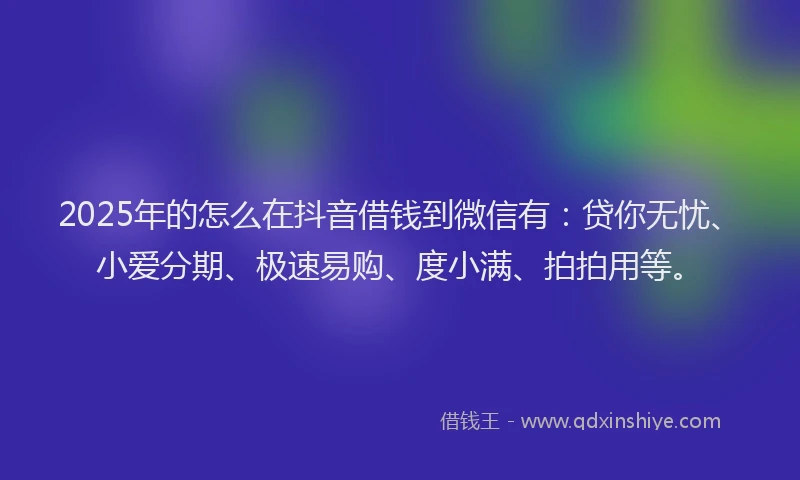 2025年的怎么在抖音借钱到微信有：贷你无忧、小爱分期、极速易购、度小满、拍拍用等。