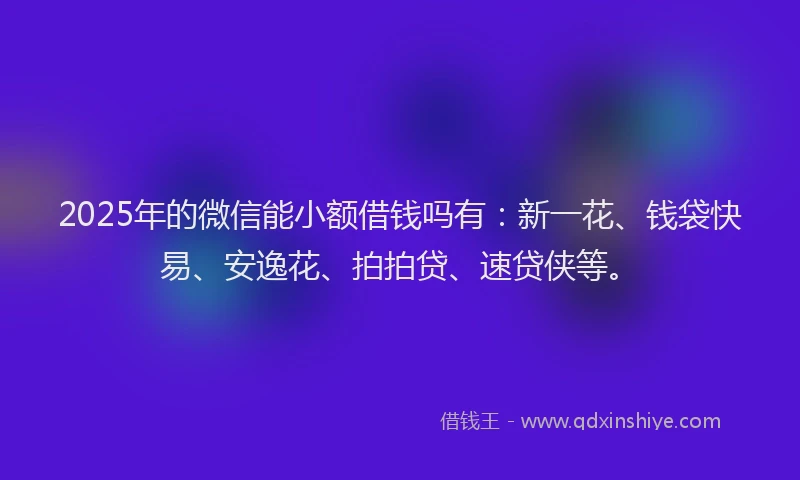 2025年的微信能小额借钱吗有：新一花、钱袋快易、安逸花、拍拍贷、速贷侠等。