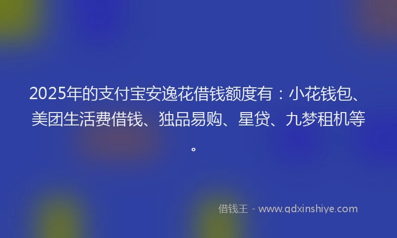 2025年的支付宝安逸花借钱额度有：小花钱包、美团生活费借钱、独品易购、星贷、九梦租机等。