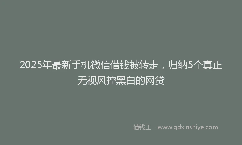 2025年最新手机微信借钱被转走，归纳5个真正无视风控黑白的网贷