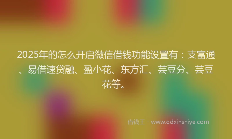 2025年的怎么开启微信借钱功能设置有：支富通、易借速贷融、盈小花、东方汇、芸豆分、芸豆花等。