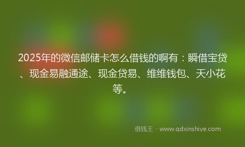2025年的微信邮储卡怎么借钱的啊有：瞬借宝贷、现金易融通途、现金贷易、维维钱包、天小花等。