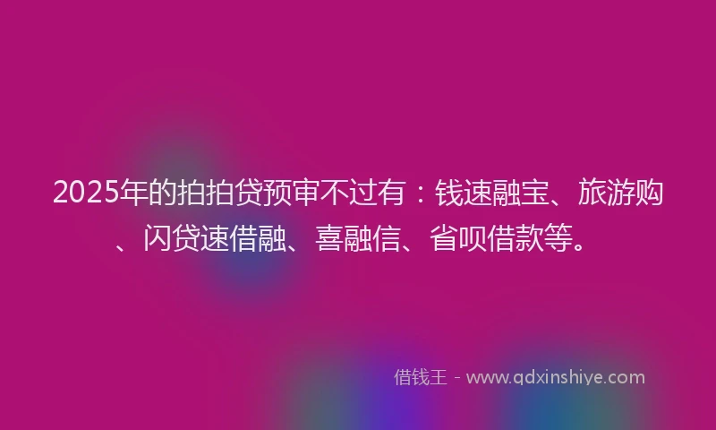 2025年的拍拍贷预审不过有：钱速融宝、旅游购、闪贷速借融、喜融信、省呗借款等。