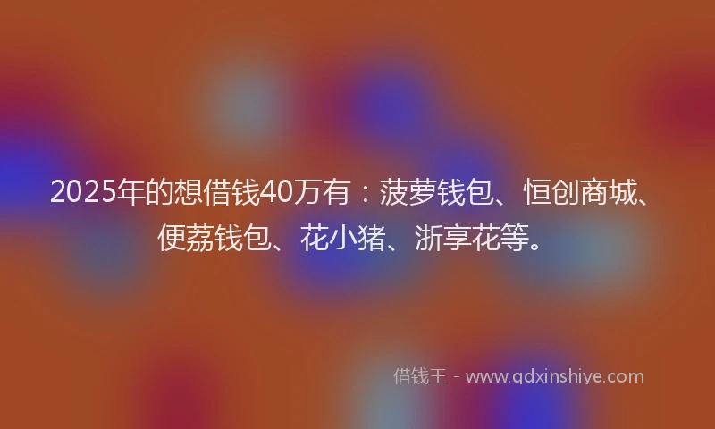 2025年的想借钱40万有：菠萝钱包、恒创商城、便荔钱包、花小猪、浙享花等。