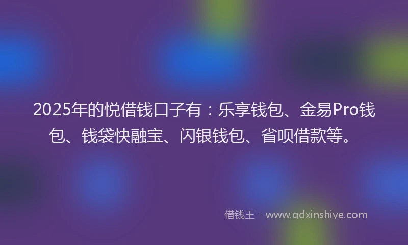 2025年的悦借钱口子有：乐享钱包、金易Pro钱包、钱袋快融宝、闪银钱包、省呗借款等。