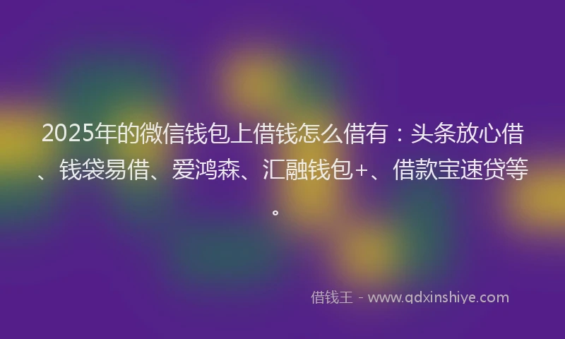 2025年的微信钱包上借钱怎么借有：头条放心借、钱袋易借、爱鸿森、汇融钱包+、借款宝速贷等。