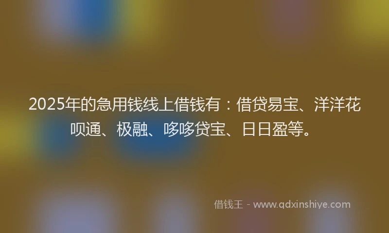 2025年的急用钱线上借钱有：借贷易宝、洋洋花呗通、极融、哆哆贷宝、日日盈等。