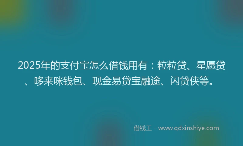 2025年的支付宝怎么借钱用有：粒粒贷、星愿贷、哆来咪钱包、现金易贷宝融途、闪贷侠等。