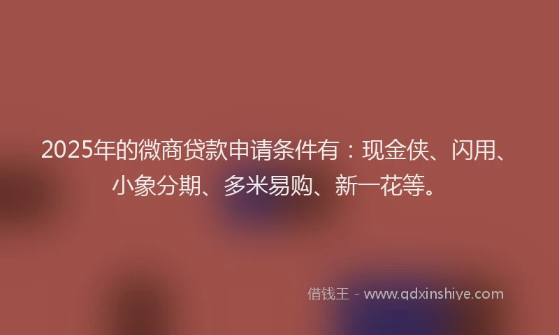 2025年的微商贷款申请条件有：现金侠、闪用、小象分期、多米易购、新一花等。
