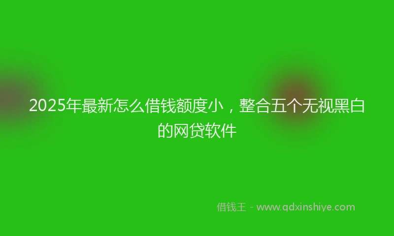 2025年最新怎么借钱额度小，整合五个无视黑白的网贷软件