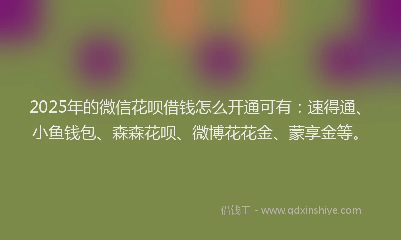 2025年的微信花呗借钱怎么开通可有：速得通、小鱼钱包、森森花呗、微博花花金、蒙享金等。
