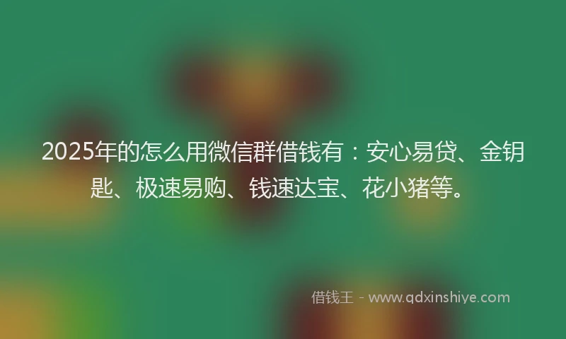 2025年的怎么用微信群借钱有：安心易贷、金钥匙、极速易购、钱速达宝、花小猪等。