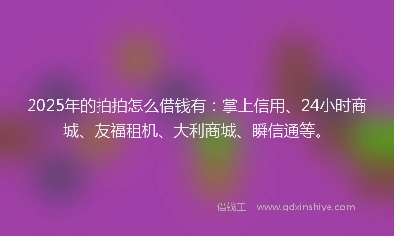 2025年的拍拍怎么借钱有：掌上信用、24小时商城、友福租机、大利商城、瞬信通等。