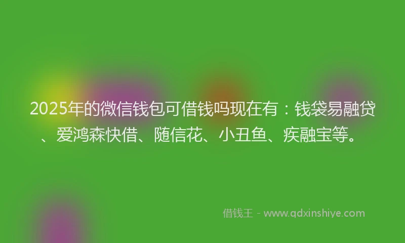 2025年的微信钱包可借钱吗现在有：钱袋易融贷、爱鸿森快借、随信花、小丑鱼、疾融宝等。