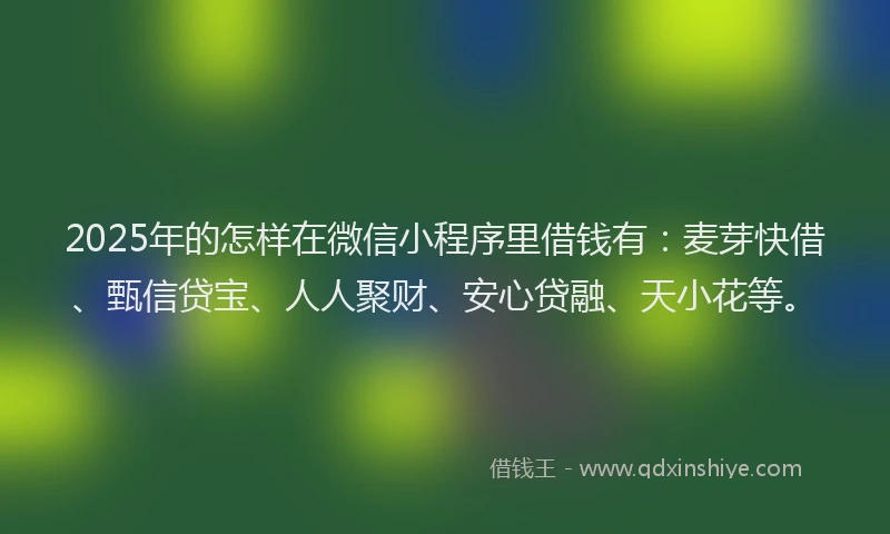 2025年的怎样在微信小程序里借钱有：麦芽快借、甄信贷宝、人人聚财、安心贷融、天小花等。