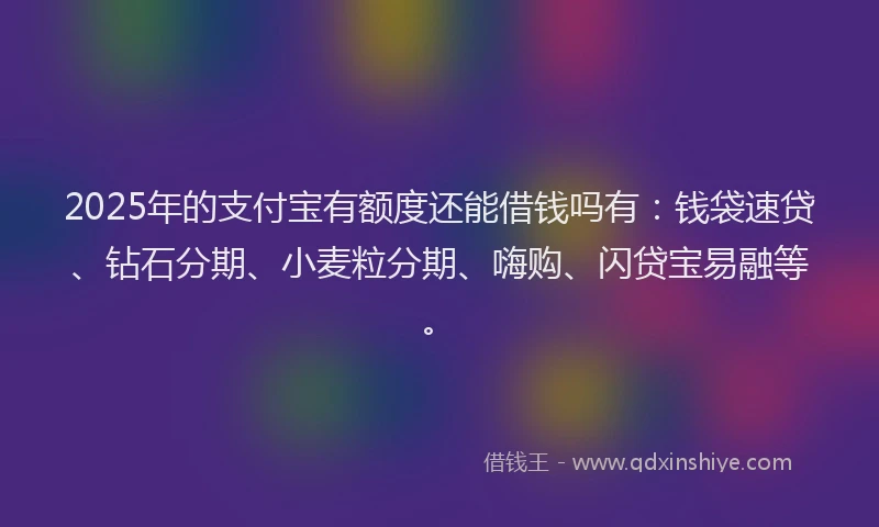 2025年的支付宝有额度还能借钱吗有：钱袋速贷、钻石分期、小麦粒分期、嗨购、闪贷宝易融等。