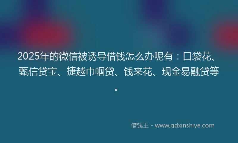 2025年的微信被诱导借钱怎么办呢有：口袋花、甄信贷宝、捷越巾帼贷、钱来花、现金易融贷等。