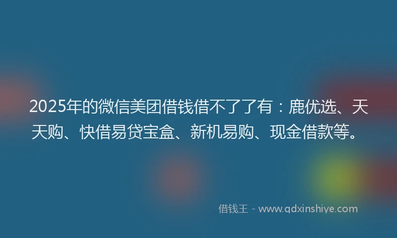 2025年的微信美团借钱借不了了有：鹿优选、天天购、快借易贷宝盒、新机易购、现金借款等。