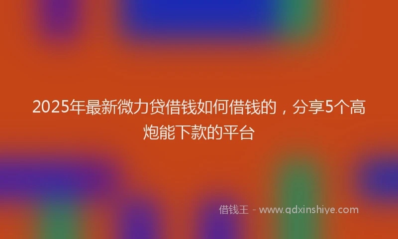 2025年最新微力贷借钱如何借钱的，分享5个高炮能下款的平台