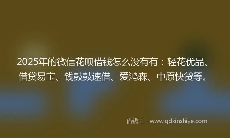 2025年的微信花呗借钱怎么没有有：轻花优品、借贷易宝、钱鼓鼓速借、爱鸿森、中原快贷等。
