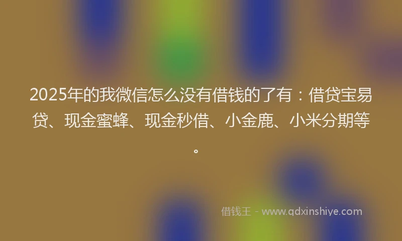 2025年的我微信怎么没有借钱的了有：借贷宝易贷、现金蜜蜂、现金秒借、小金鹿、小米分期等。