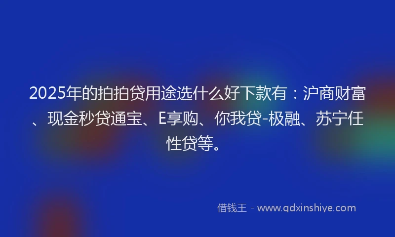 2025年的拍拍贷用途选什么好下款有：沪商财富、现金秒贷通宝、E享购、你我贷-极融、苏宁任性贷等。