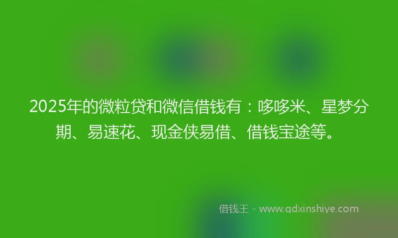 2025年的微粒贷和微信借钱有：哆哆米、星梦分期、易速花、现金侠易借、借钱宝途等。