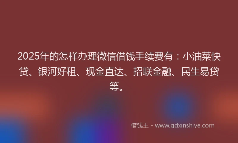 2025年的怎样办理微信借钱手续费有：小油菜快贷、银河好租、现金直达、招联金融、民生易贷等。