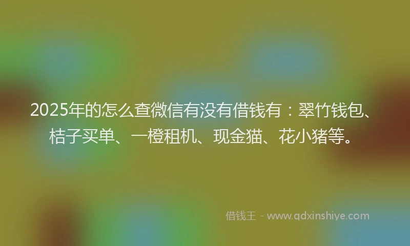 2025年的怎么查微信有没有借钱有：翠竹钱包、桔子买单、一橙租机、现金猫、花小猪等。