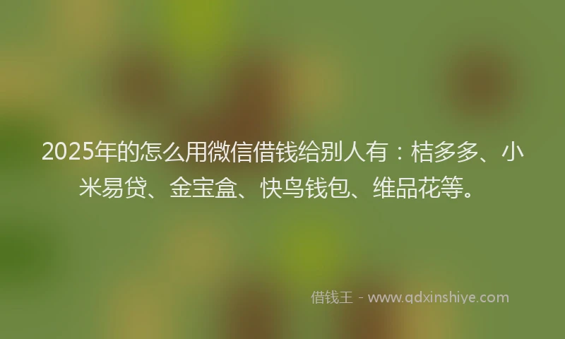 2025年的怎么用微信借钱给别人有：桔多多、小米易贷、金宝盒、快鸟钱包、维品花等。