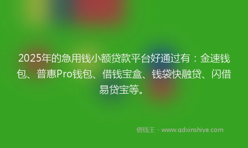 2025年的急用钱小额贷款平台好通过有：金速钱包、普惠Pro钱包、借钱宝盒、钱袋快融贷、闪借易贷宝等。