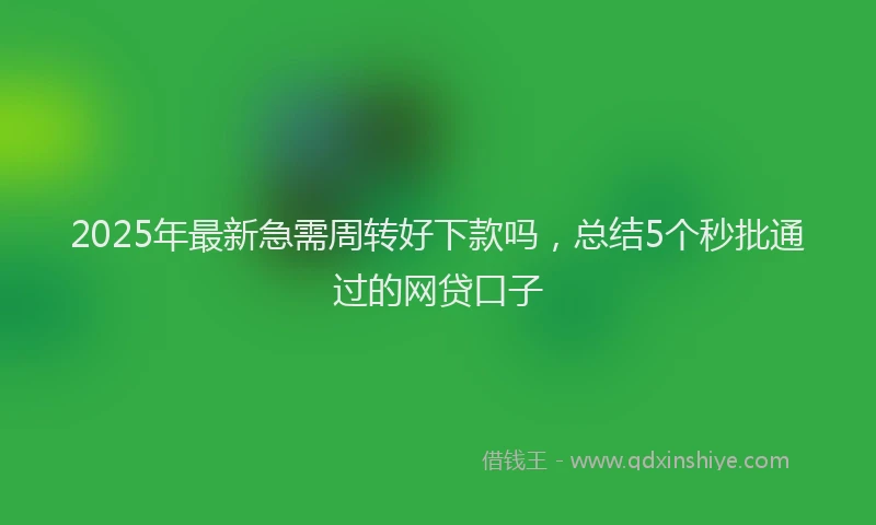 2025年最新急需周转好下款吗，总结5个秒批通过的网贷口子