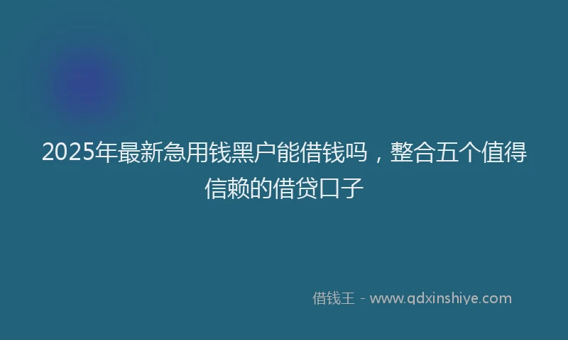 2025年最新急用钱黑户能借钱吗，整合五个值得信赖的借贷口子