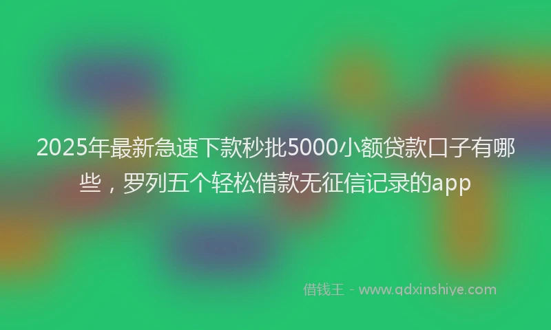 2025年最新急速下款秒批5000小额贷款口子有哪些，罗列五个轻松借款无征信记录的app