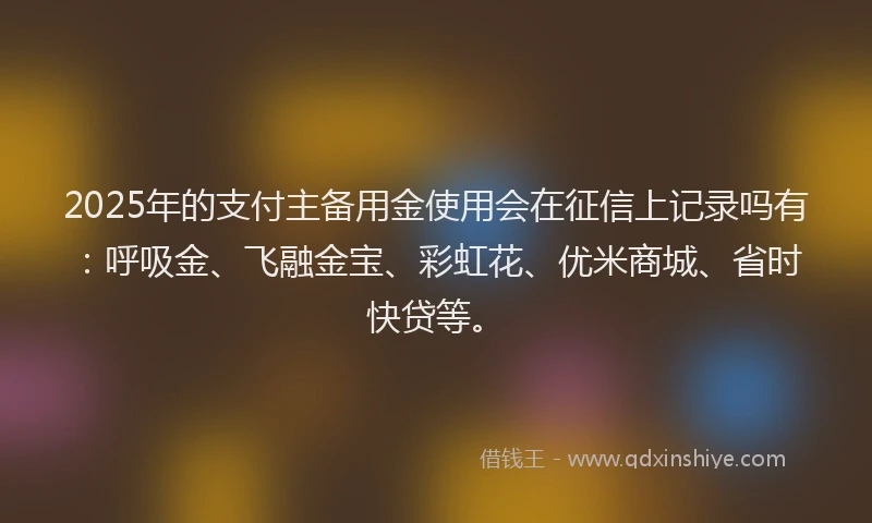2025年的支付主备用金使用会在征信上记录吗有：呼吸金、飞融金宝、彩虹花、优米商城、省时快贷等。