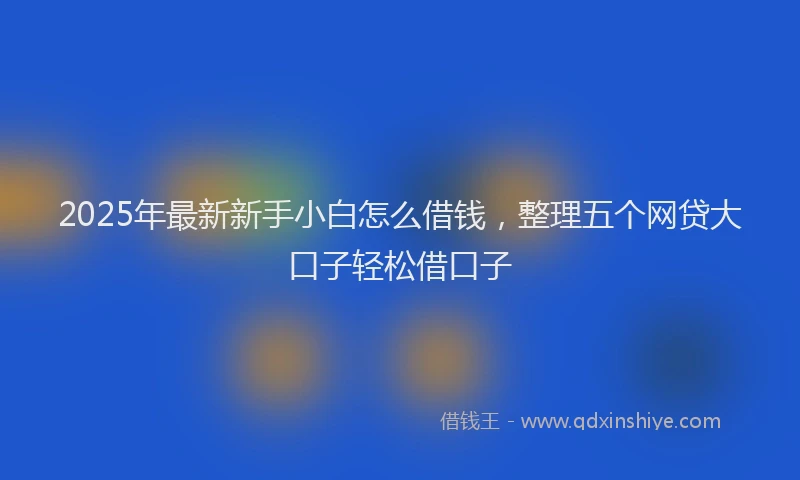 2025年最新新手小白怎么借钱，整理五个网贷大口子轻松借口子