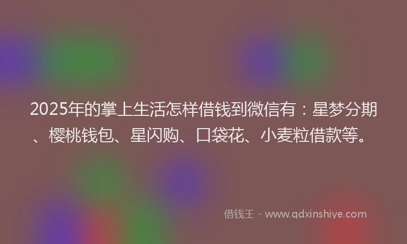 2025年的掌上生活怎样借钱到微信有：星梦分期、樱桃钱包、星闪购、口袋花、小麦粒借款等。