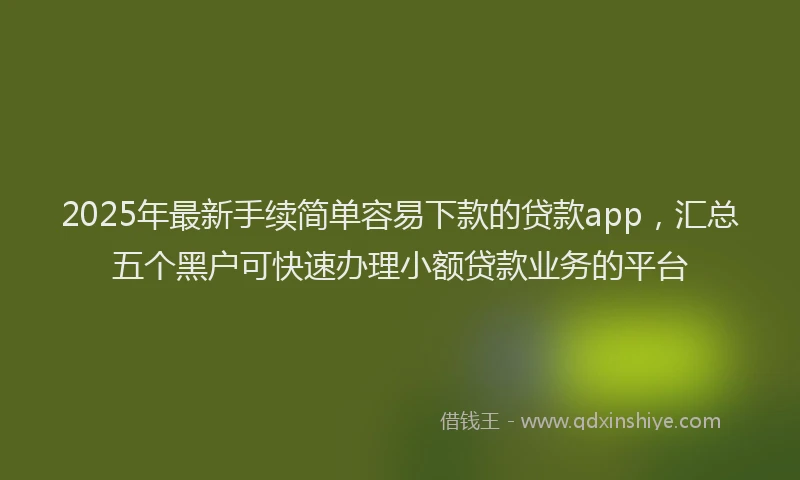 2025年最新手续简单容易下款的贷款app，汇总五个黑户可快速办理小额贷款业务的平台