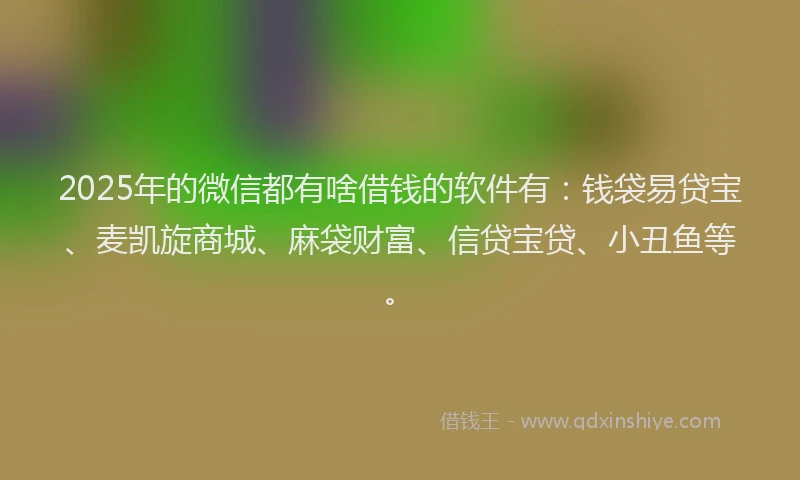 2025年的微信都有啥借钱的软件有：钱袋易贷宝、麦凯旋商城、麻袋财富、信贷宝贷、小丑鱼等。