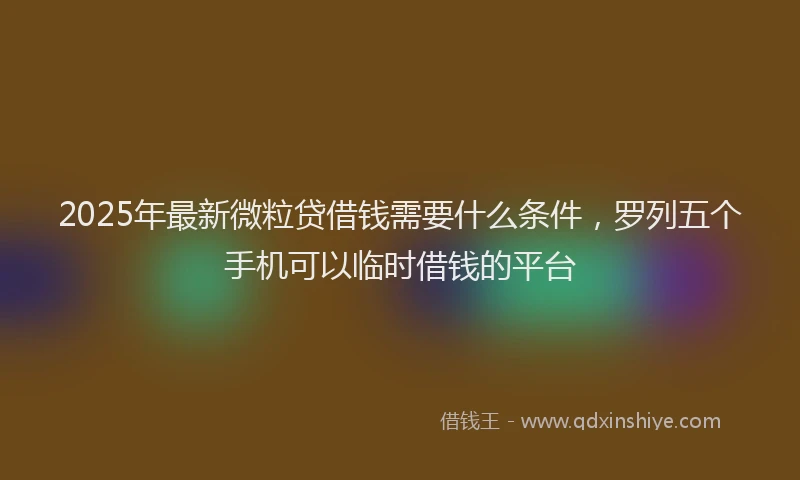 2025年最新微粒贷借钱需要什么条件，罗列五个手机可以临时借钱的平台