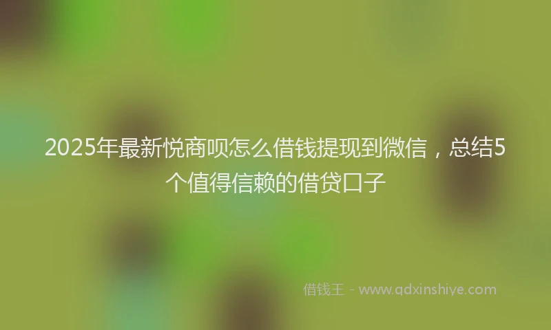 2025年最新悦商呗怎么借钱提现到微信，总结5个值得信赖的借贷口子