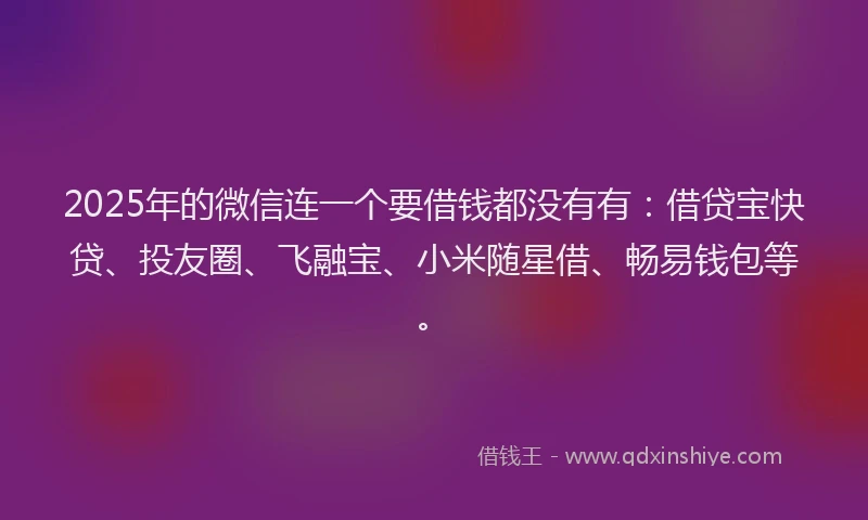 2025年的微信连一个要借钱都没有有：借贷宝快贷、投友圈、飞融宝、小米随星借、畅易钱包等。