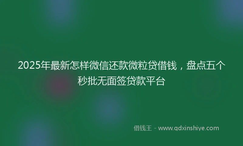2025年最新怎样微信还款微粒贷借钱，盘点五个秒批无面签贷款平台