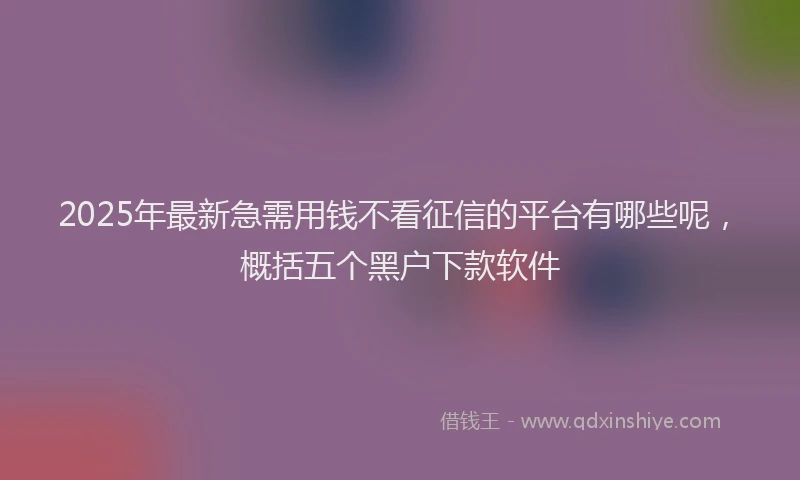 2025年最新急需用钱不看征信的平台有哪些呢，概括五个黑户下款软件