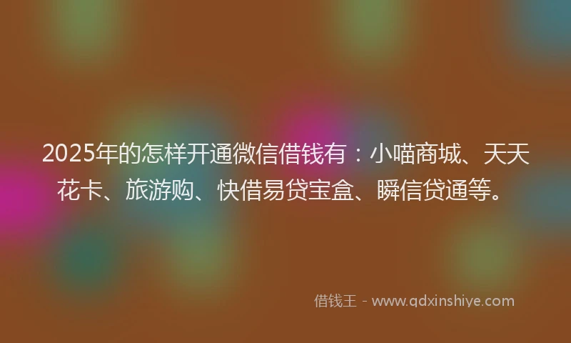2025年的怎样开通微信借钱有：小喵商城、天天花卡、旅游购、快借易贷宝盒、瞬信贷通等。
